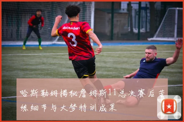 哈斯勒姆揭秘詹姆斯11总决赛后苦练细节与大梦特训成果